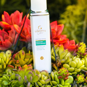 Niaglow Moisturizer